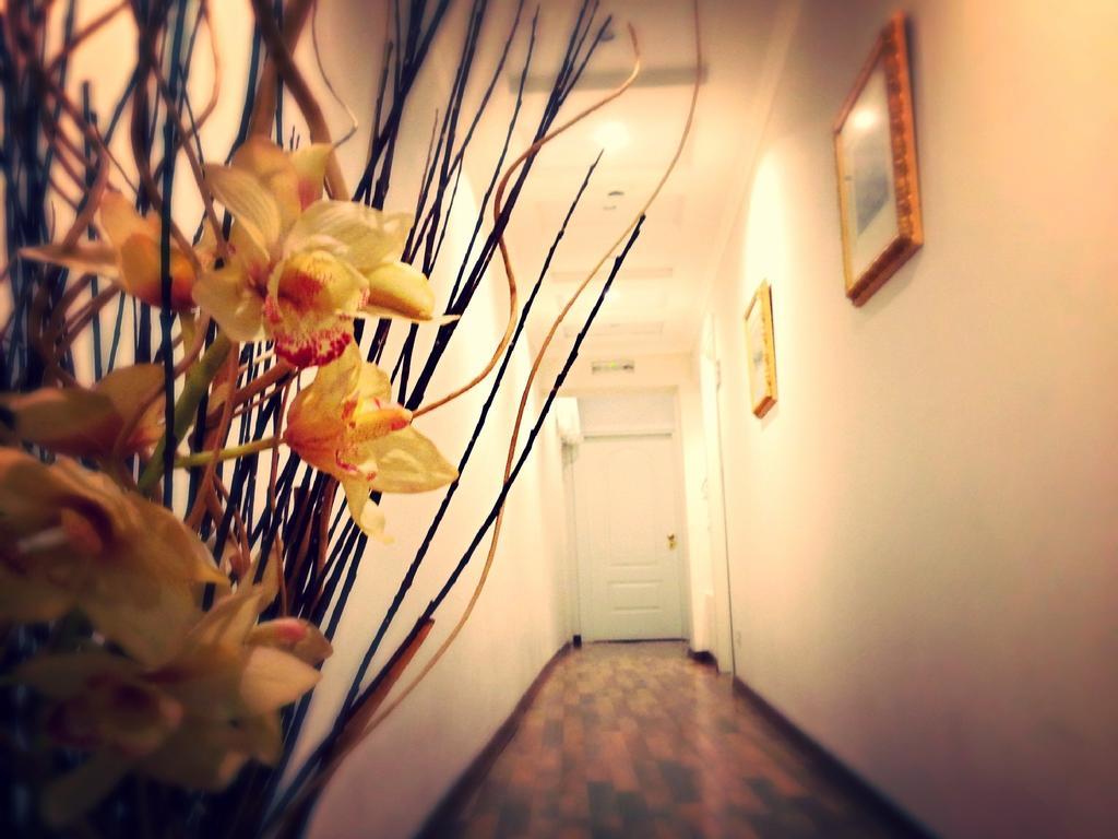 Bed and Breakfast Residenza Domiziano Рим Экстерьер фото